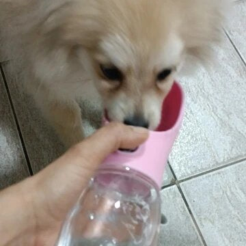 Portable Dog Water Bottle