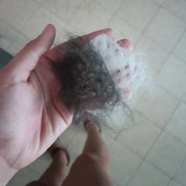 Steamy Pet Grooming Brush