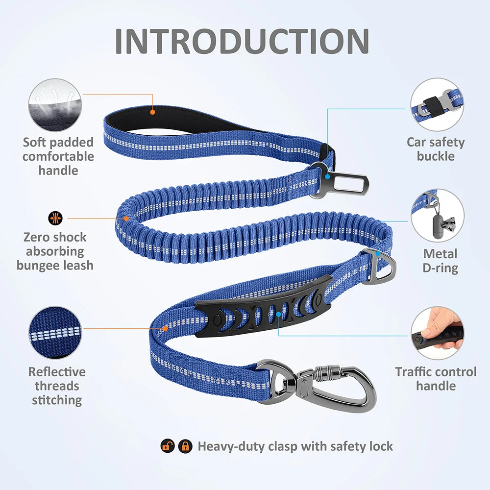 3 in 1 Dog Lead