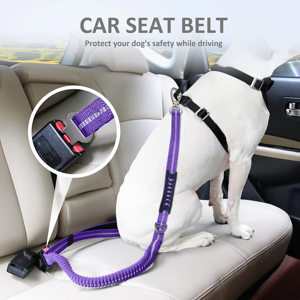 3 in 1 Dog Lead