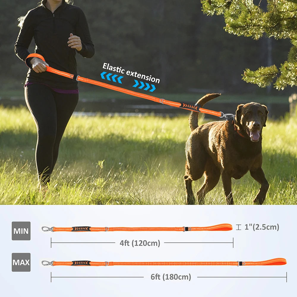 3 in 1 Dog Lead