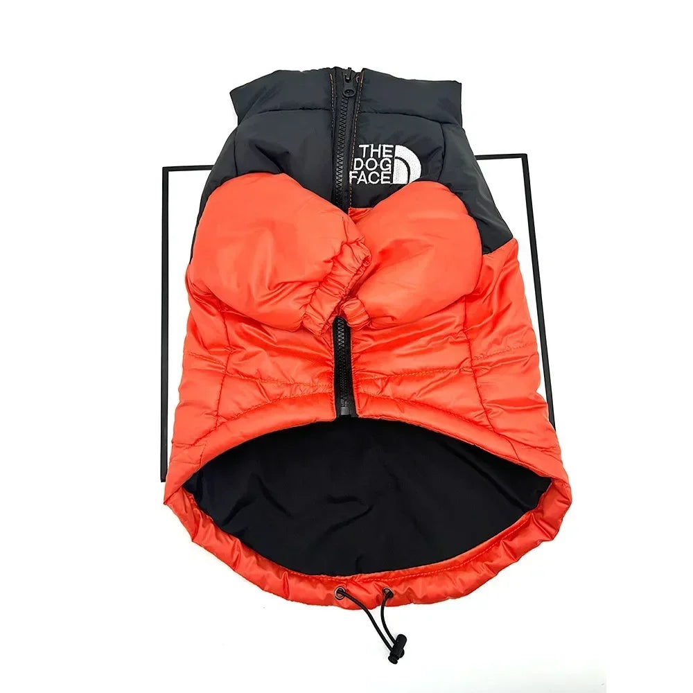 North Face Dog Jacket