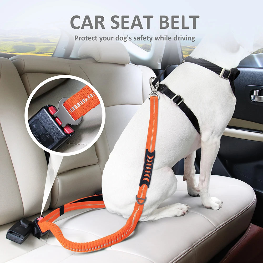 3 in 1 Dog Lead