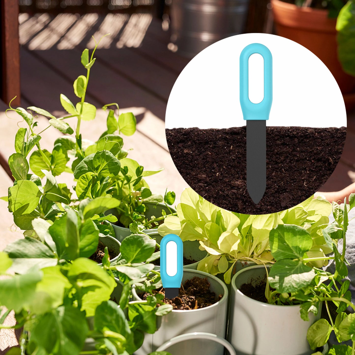 Smart Soil Tester