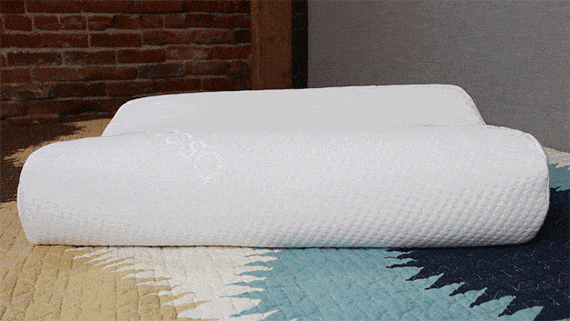 Memory Foam Pillow