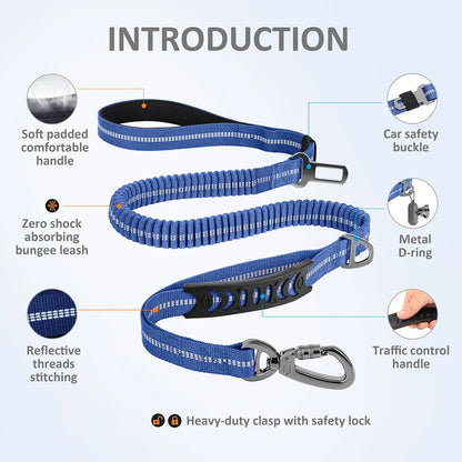 3 in 1 Dog Lead